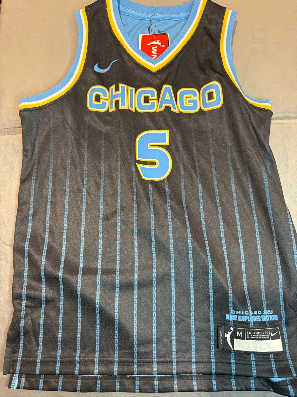 Nike Chicago Sky Explorer Edition Men's Black with Light Blue Pinstripe Shorts